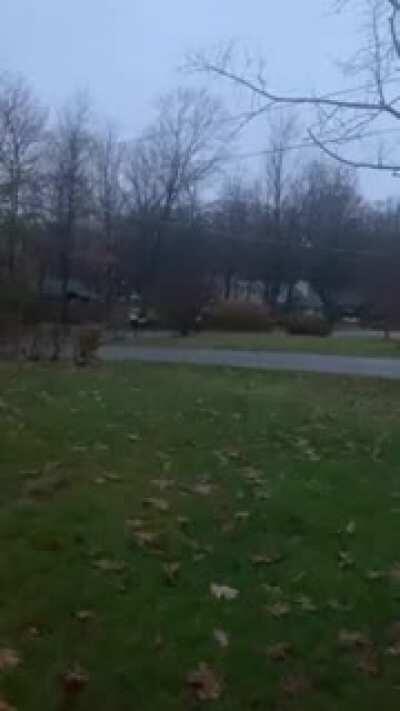 My Trump supporting neighbors are becoming more unhinged by the day. This was recorded at 6:45 this morning.