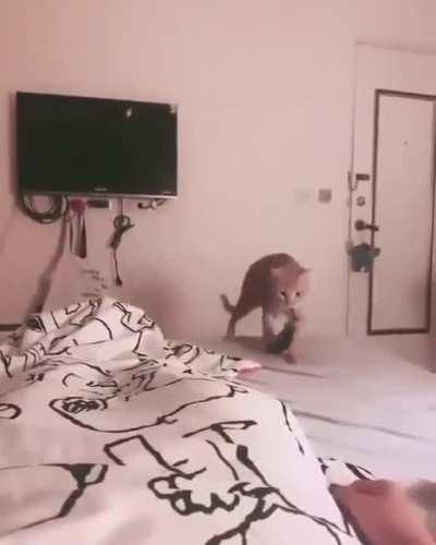 Here's your stinking sock