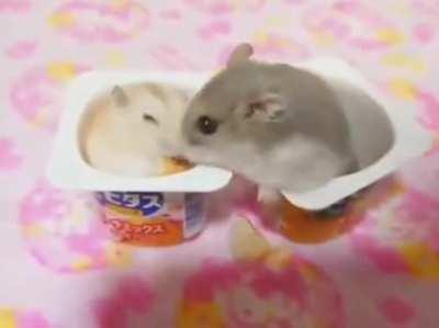 Don't touch ma sh.. peasant