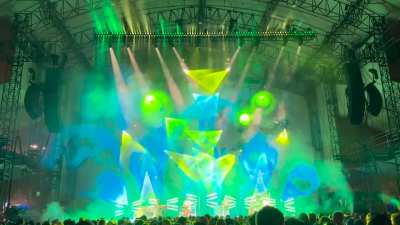 Goose Covering Peach