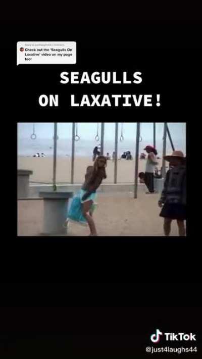 Stupid kids “prank” could have gotten people sick. And ruined park.