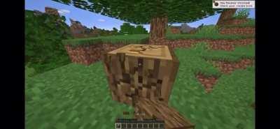 Minecraft Speedrunner vs. Mutant