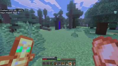 Lost my Hardcore due to a bug