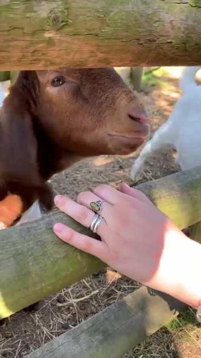 Friendly baby at a campsite I stayed at