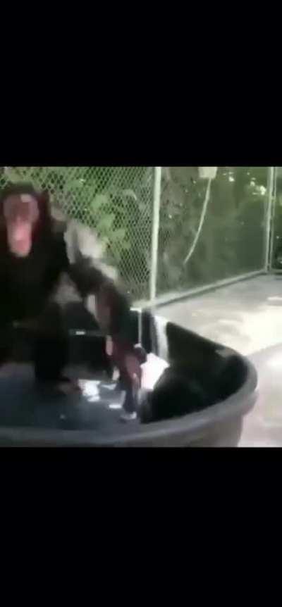 ooh oooh ooh ooh oooh oooh oooh oooh oooh oooh?