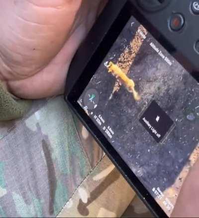 AFU: Drone operators drop sausages to a local dog.