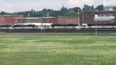 Bitch, we're being put out to pasture