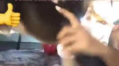 To do a chill facebook live with his dog