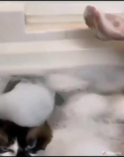 Just enjoying our time.