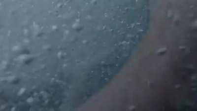 Cliff jump into Sydney harbour