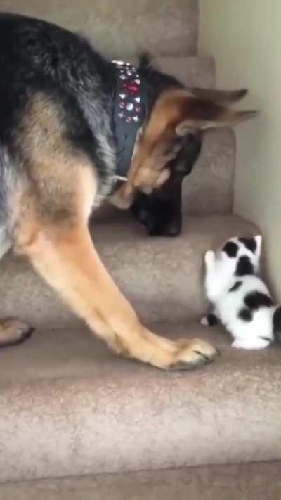 A little bit of help is always appreciated!