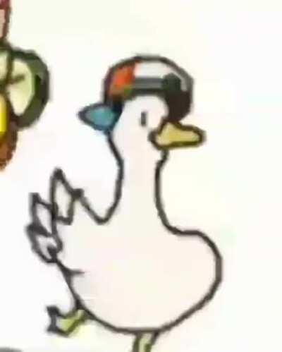 Hey yah duck