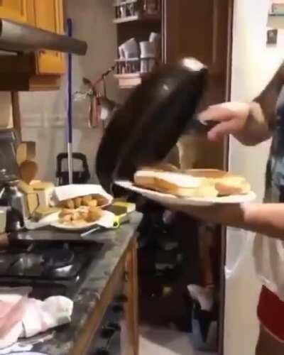 Getting toast on to the plate