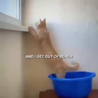 Clearest snippet I could find of Fuk Sumn