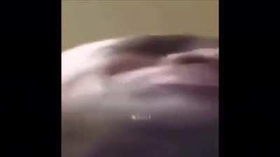 She has a nice pussy