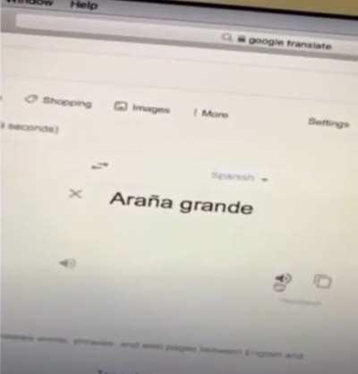 👀🕷️What in the jerk is this?