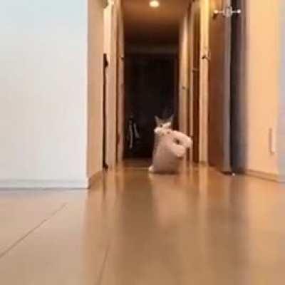 Okay, it took me a bit to figure out what was going on here..