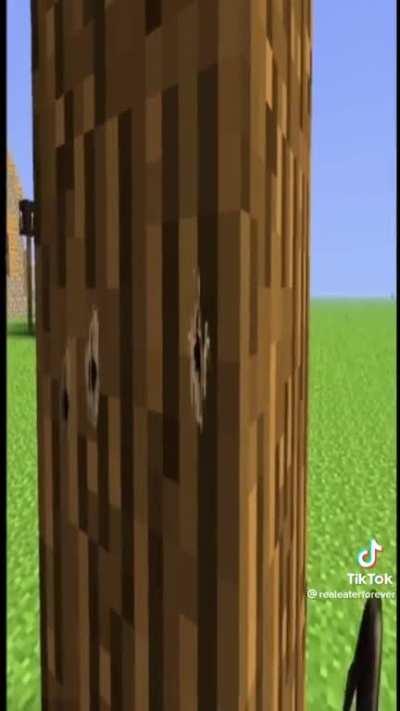 Does anyone know what mod this is?