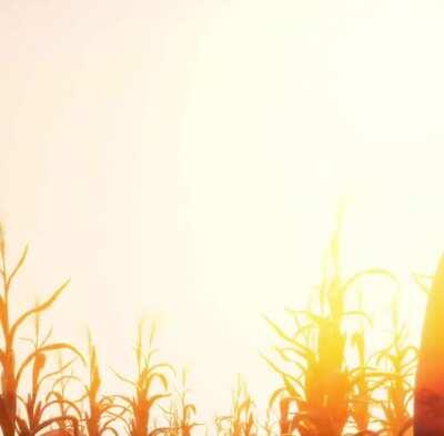 Leatherface mains after camping all game and still getting 0 kills