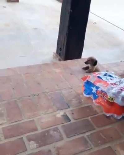 How to make an entrance.