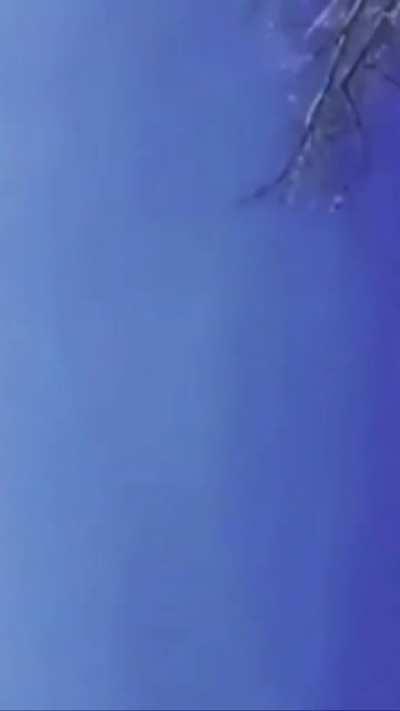 stupid shit like this got me dying😂