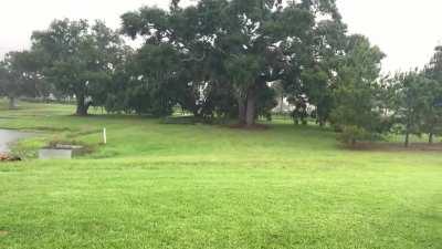 Afternoon Thunderstorm 👁