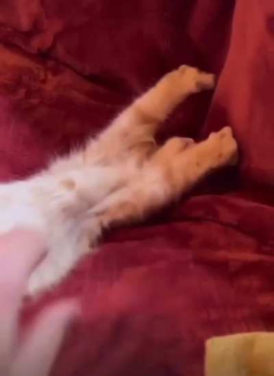 Waking Up For School (TikTok: mlvm50)