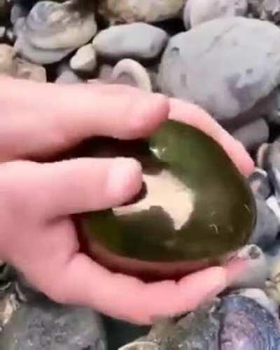 🔥 135 million years old Ammonite fossil preserved in iron pyrite