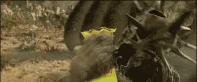 I was searching for a Witch King gif this morning... this popped up on google images.