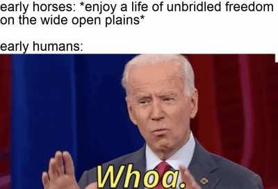 we kept telling them neigh