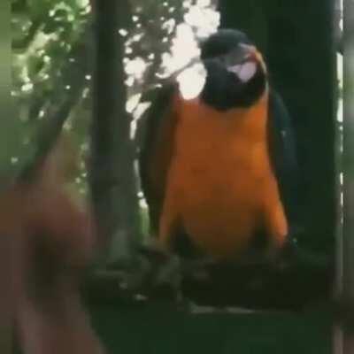 Party like it's 1999