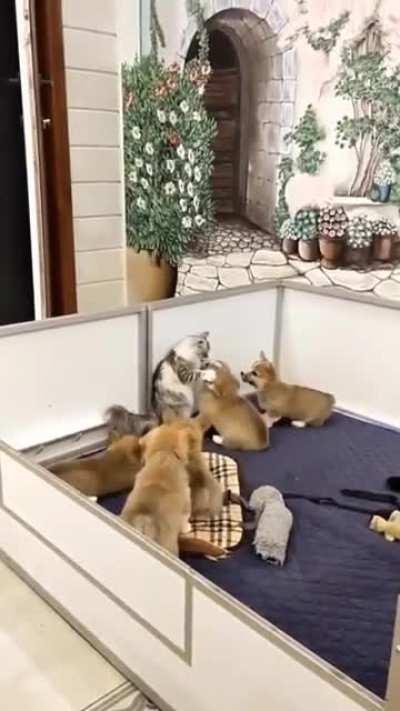 When r/investing accidentally visits WSB