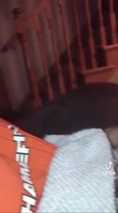 He fell asleep while petting the cat