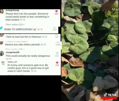 'an old people trap'... I put up a bunch of comments from this video for you to see what ppl have to say about this.. But fr doe tiktok has a bunch of assholes like this no wonder its getting banned. Would love to see your opinions on this