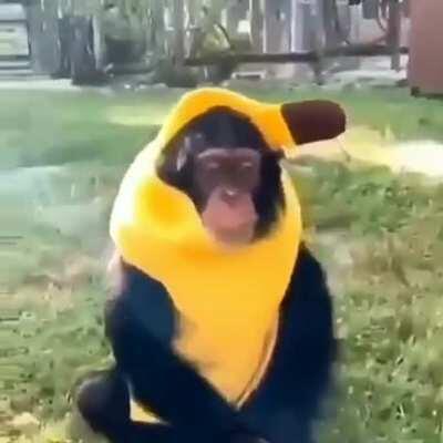 5 seconds straight of Yumigahama