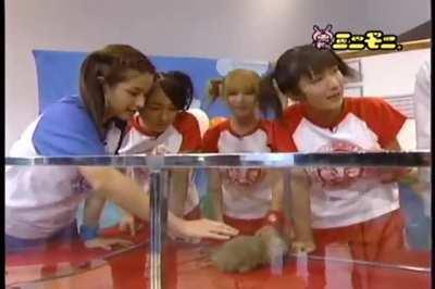 a origem de uma lenda