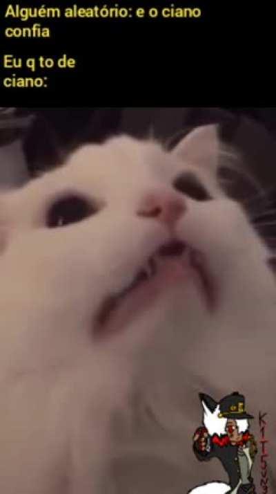 Diga não à Cianofobia