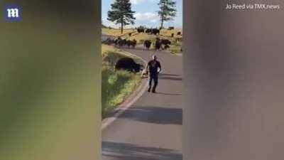 Бизону плевать на твой инстаграм