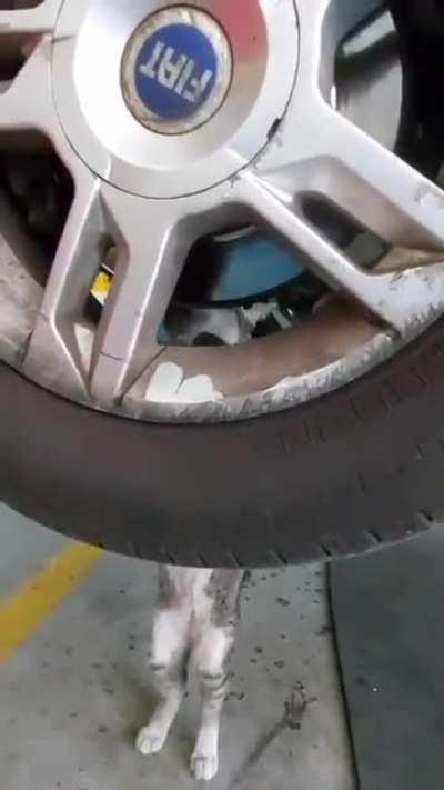 A pandemia não ta fácil pra ninguém