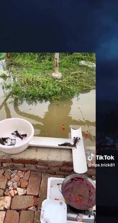 blud gave them a choice 💀