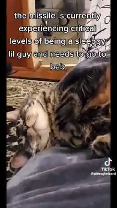 A little loud but it's a cat.