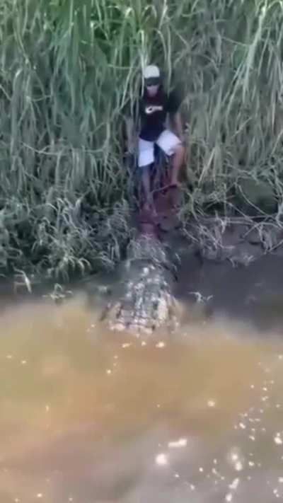 Caiman has a kid cornered and at its complete mercy. Extremely lucky the boat turned up. I would have shat my entire intestinal system out!