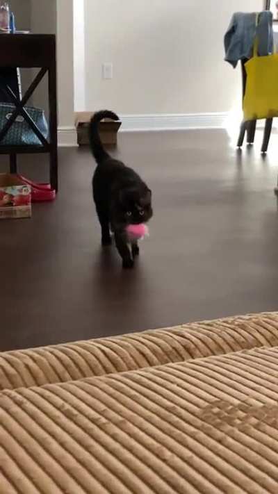 Pom poms are her favorite