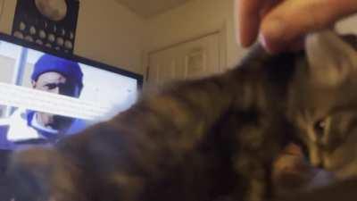 These two need prison for life