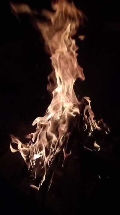 Bonfire everywhere in the city..smtimes it even feels like light shower..how are you guys dealing with the cold 🥶🥶