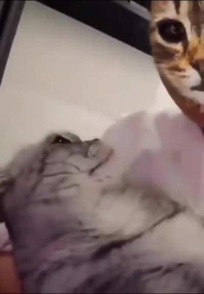 What Kind of Sorcery is this?