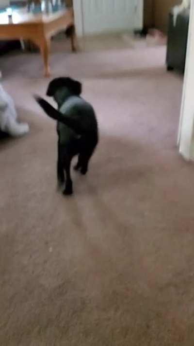 To give the ball back