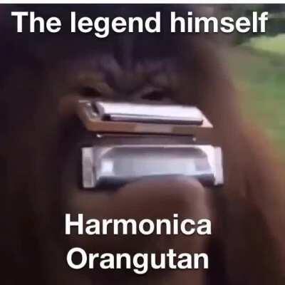Time to buy a harmonica.