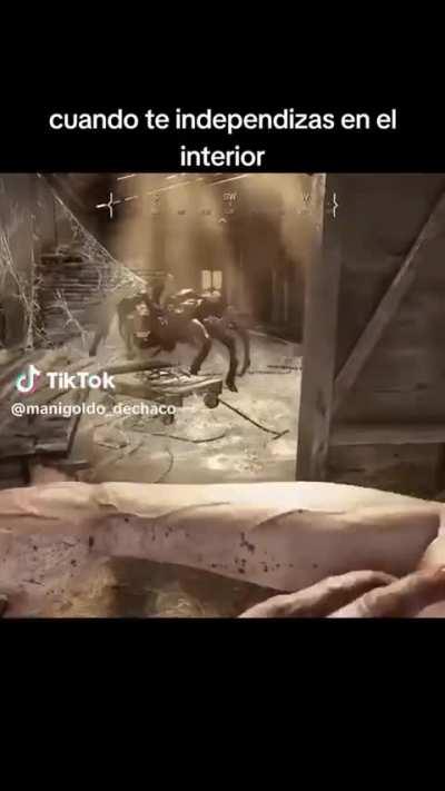 SrAmilcar - Video #7262