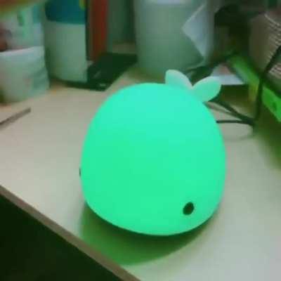 Touch Tha Glowy Fishy